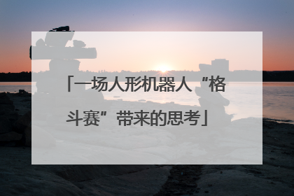 一场人形机器人“格斗赛”带来的思考