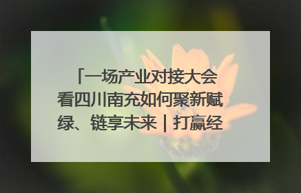 一场产业对接大会 看四川南充如何聚新赋绿、链享未来｜打赢经济发展翻身仗
