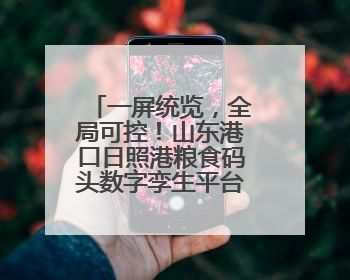 一屏统览，全局可控！山东港口日照港粮食码头数字孪生平台上线