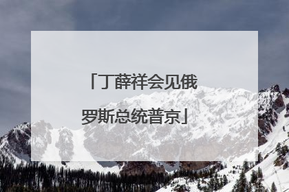 丁薛祥会见俄罗斯总统普京