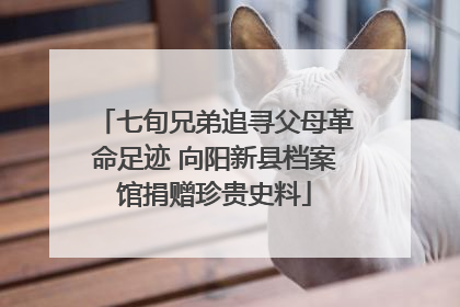 七旬兄弟追寻父母革命足迹 向阳新县档案馆捐赠珍贵史料