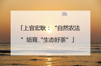 上官宏耿：“自然农法”培育“生态好茶”