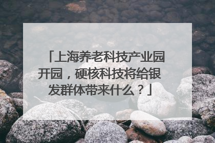 上海养老科技产业园开园，硬核科技将给银发群体带来什么？