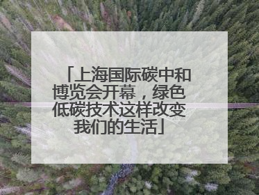 上海国际碳中和博览会开幕，绿色低碳技术这样改变我们的生活