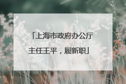 上海市政府办公厅主任王平，履新职