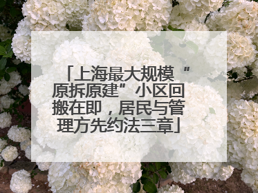 上海最大规模“原拆原建”小区回搬在即，居民与管理方先约法三章