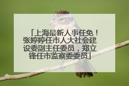 上海最新人事任免！张婷婷任市人大社会建设委副主任委员，郑立锋任市监察委委员