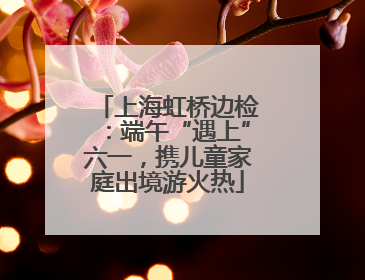 上海虹桥边检：端午“遇上”六一，携儿童家庭出境游火热