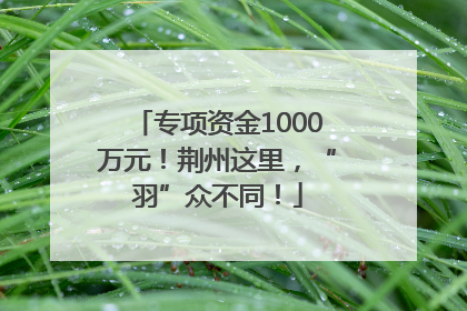 专项资金1000万元！荆州这里，“羽”众不同！