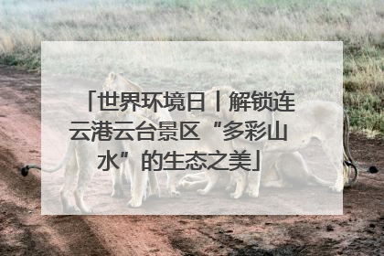 世界环境日丨解锁连云港云台景区“多彩山水”的生态之美