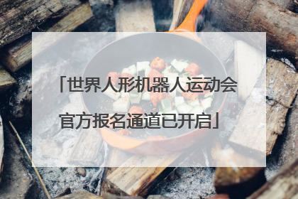 世界人形机器人运动会官方报名通道已开启