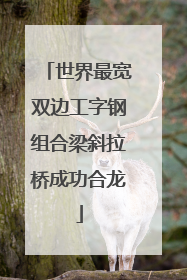世界最宽双边工字钢组合梁斜拉桥成功合龙