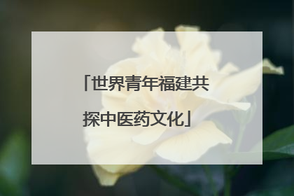 世界青年福建共探中医药文化