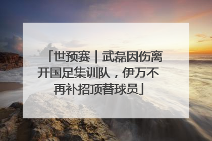 世预赛｜武磊因伤离开国足集训队，伊万不再补招顶替球员