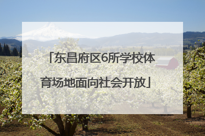 东昌府区6所学校体育场地面向社会开放
