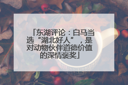 东湖评论：白马当选“湖北好人”，是对动物伙伴道德价值的深情褒奖