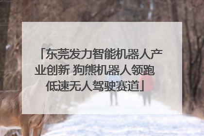 东莞发力智能机器人产业创新 狗熊机器人领跑低速无人驾驶赛道