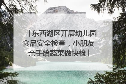 东西湖区开展幼儿园食品安全检查，小朋友亲手给蔬菜做快检