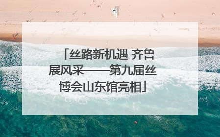 丝路新机遇 齐鲁展风采——第九届丝博会山东馆亮相