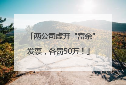 两公司虚开“富余”发票，各罚50万！