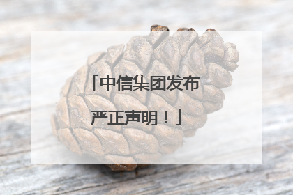 中信集团发布严正声明！