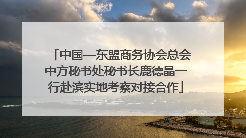 中国—东盟商务协会总会中方秘书处秘书长鹿德晶一行赴滨实地考察对接合作