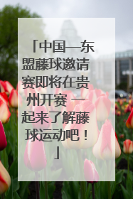 中国—东盟藤球邀请赛即将在贵州开赛 一起来了解藤球运动吧！