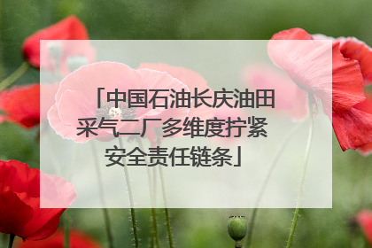 中国石油长庆油田采气二厂多维度拧紧安全责任链条