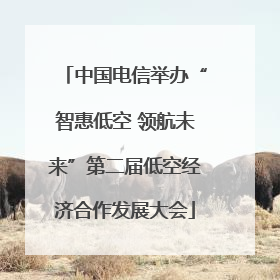 中国电信举办“智惠低空 领航未来”第二届低空经济合作发展大会