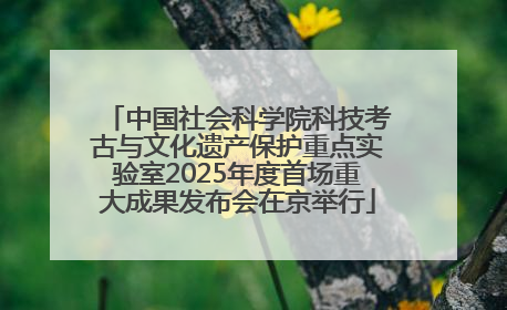 中国社会科学院科技考古与文化遗产保护重点实验室2025年度首场重大成果发布会在京举行