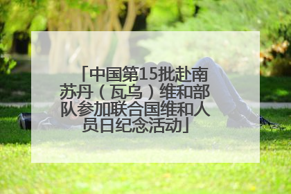 中国第15批赴南苏丹（瓦乌）维和部队参加联合国维和人员日纪念活动