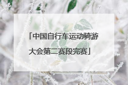 中国自行车运动骑游大会第二赛段完赛