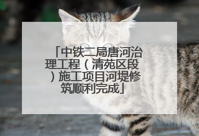 中铁二局唐河治理工程（清苑区段）施工项目河堤修筑顺利完成