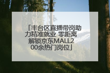 丰台区直播带岗助力精准就业 零距离解锁京东MALL200余热门岗位