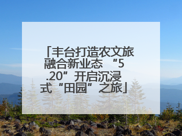 丰台打造农文旅融合新业态 “5.20”开启沉浸式“田园”之旅