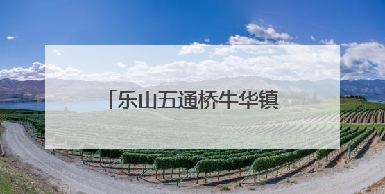 乐山五通桥牛华镇二码头小学：适应与成长，助力新启航