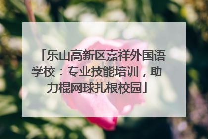 乐山高新区嘉祥外国语学校：专业技能培训，助力棍网球扎根校园