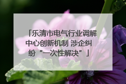 乐清市电气行业调解中心创新机制 涉企纠纷“一次性解决”