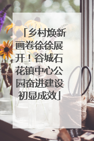 乡村焕新画卷徐徐展开！谷城石花镇中心公园奋进建设初显成效