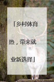 乡村体育热，带来就业新选择