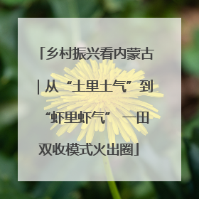 乡村振兴看内蒙古｜从“土里土气”到“虾里虾气” 一田双收模式火出圈
