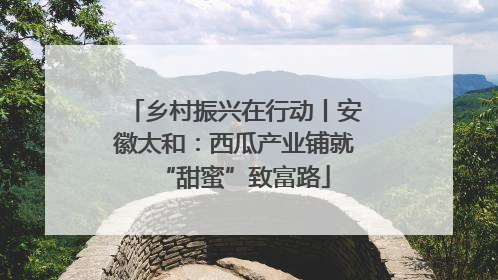 乡村振兴在行动丨安徽太和：西瓜产业铺就“甜蜜”致富路