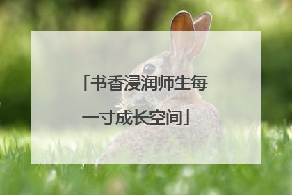 书香浸润师生每一寸成长空间