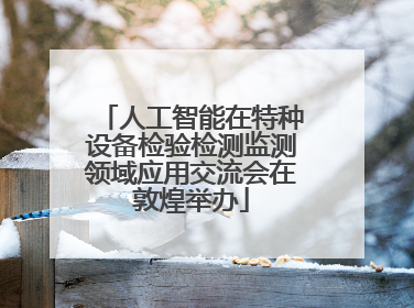 人工智能在特种设备检验检测监测领域应用交流会在敦煌举办