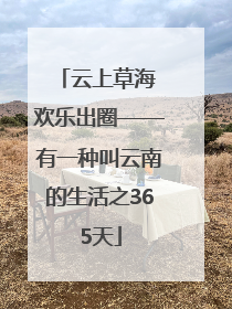 云上草海 欢乐出圈——有一种叫云南的生活之365天