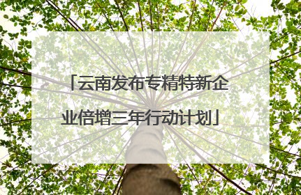 云南发布专精特新企业倍增三年行动计划