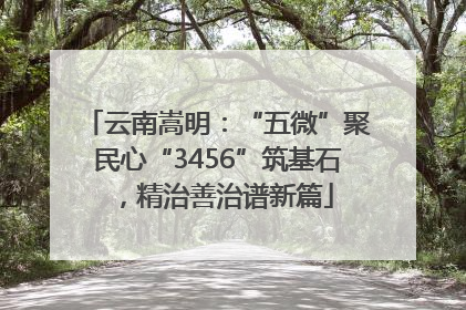 云南嵩明：“五微”聚民心“3456”筑基石，精治善治谱新篇