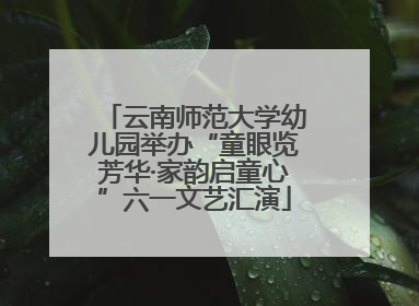 云南师范大学幼儿园举办“童眼览芳华·家韵启童心”六一文艺汇演
