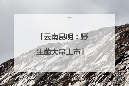 云南昆明：野生菌大量上市