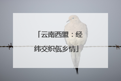 云南西盟：经纬交织佤乡情